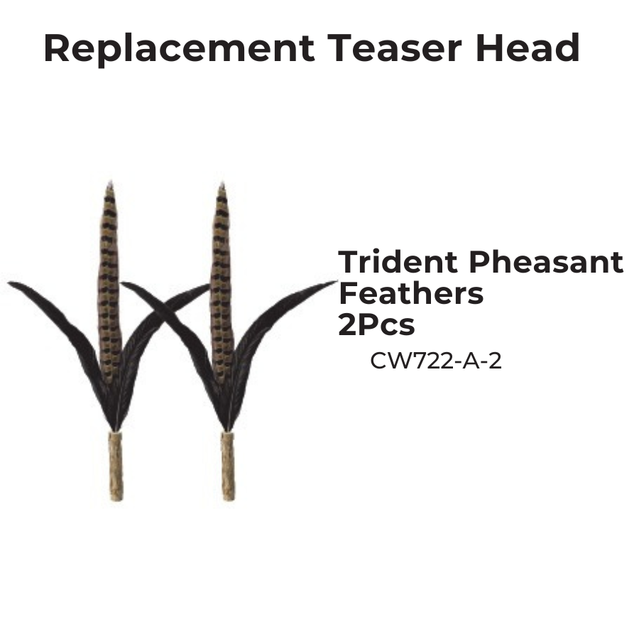 CATWANT – Brinquedo - Gato por atacado – Teaser Extra Longo Substituível - Nova Edição Chilreante5