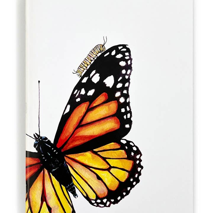 Monarch Butterfly Blank Notesbog, Skitsebog for engroshandel hos J6R6