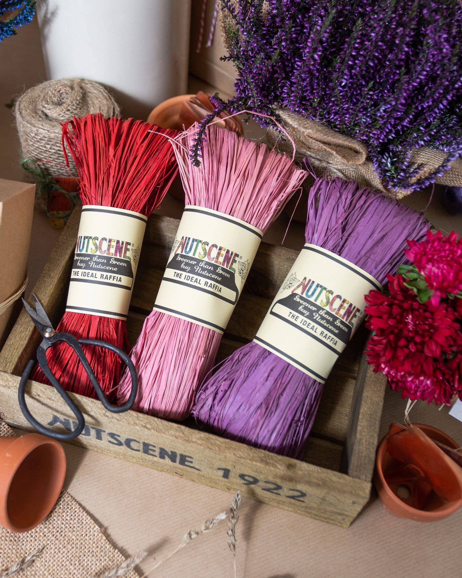 Nutscene Twines Ltd – wholesale Snöre – Blandad ask med 24 naturfärgade raffiahärvor3