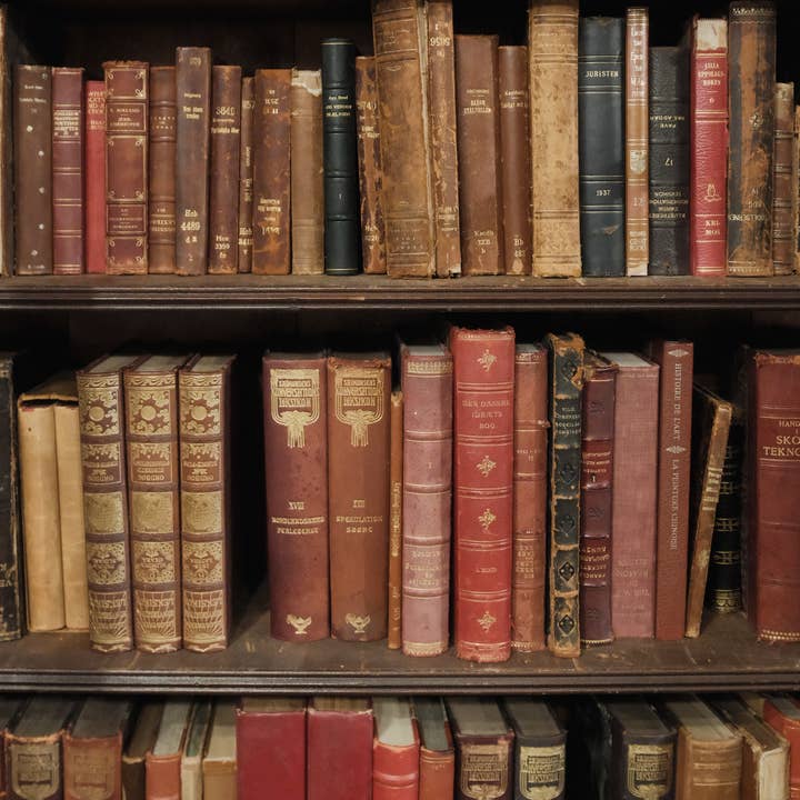 Golden Oldies Antiques - Wholesale Display Book - Vintage Northern European Leather-Bound Books3