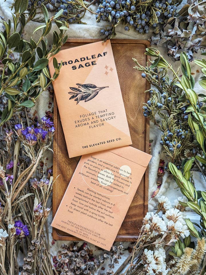 Sage Garden Seeds for wholesale by The Elevated Seed Co.
