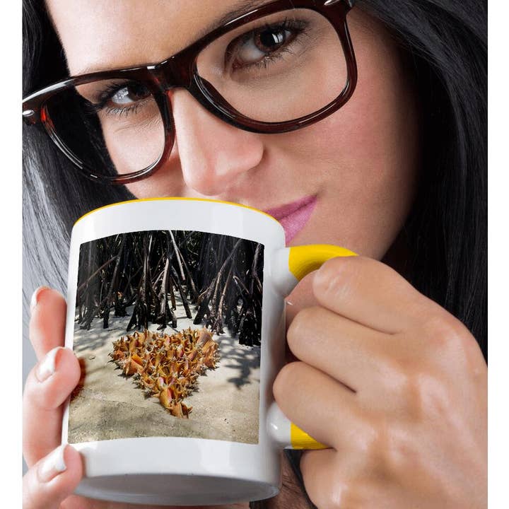 3dRose - Wholesale Coffee Mug - 3dRose, Colombia, San Bernardo Islands. Conch shells on beach - SA06 MFR0009 - MFR, Mug1