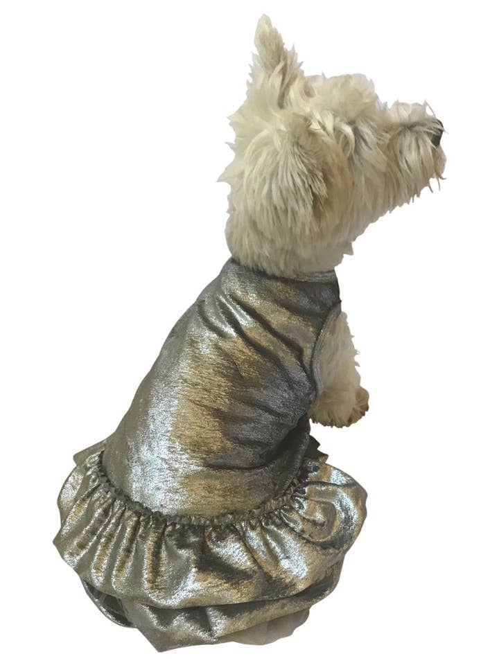 Robe pour chien Crushing on YOU en velours métallique, argent pour la vente par The Dog Squad