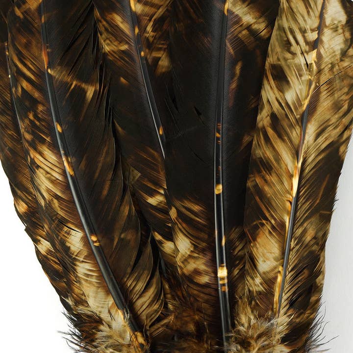 Zucker Feather Products - Vendita all'ingrosso Piume - Turkey Quill, ala destra, tinta unita, beige e marrone3