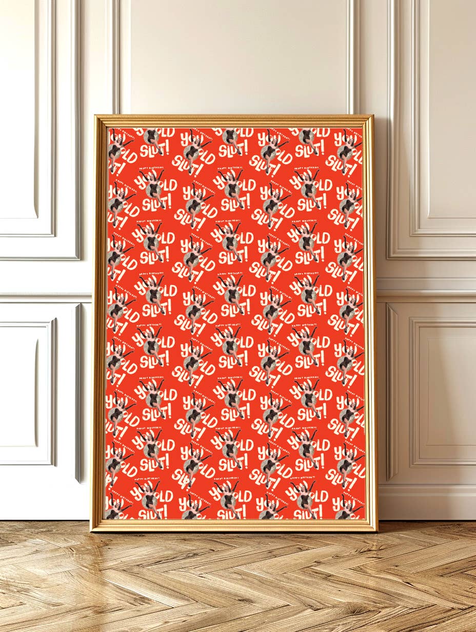 offensivedelightful - Wholesale Inpakpapier - OUDE SLET! verjaardag dubbelzijdig cadeaupapier / rollen van 2