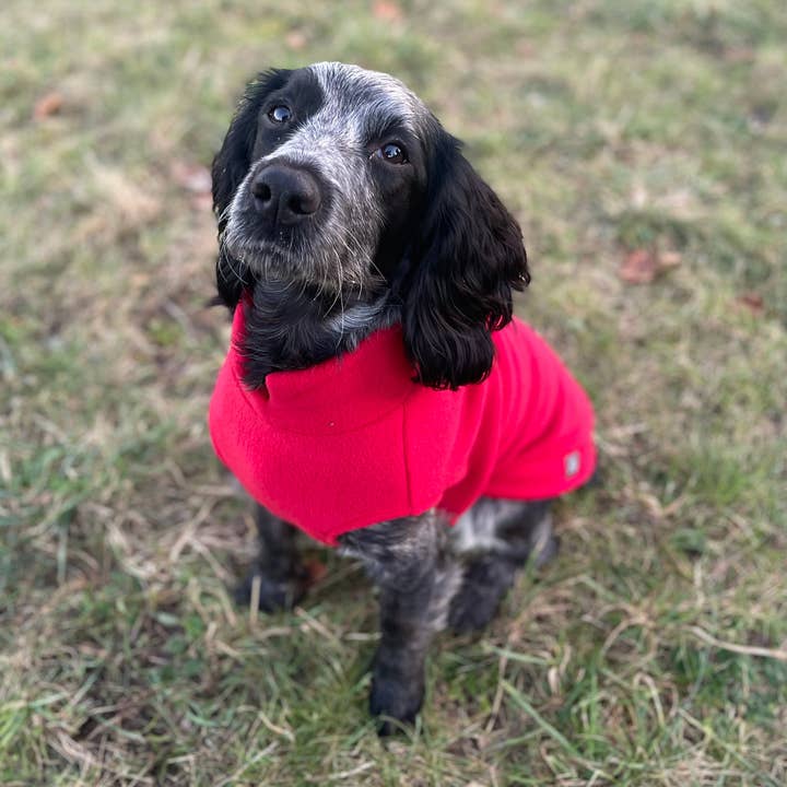 Doghouse - Wholesale Pet Sweater - Dog - Medium Breed Dog Fleece Jumper