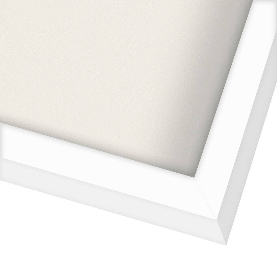Americanflat - Wholesale Picture Frame - Americanflat Shadow Box Frame with Box Molding163