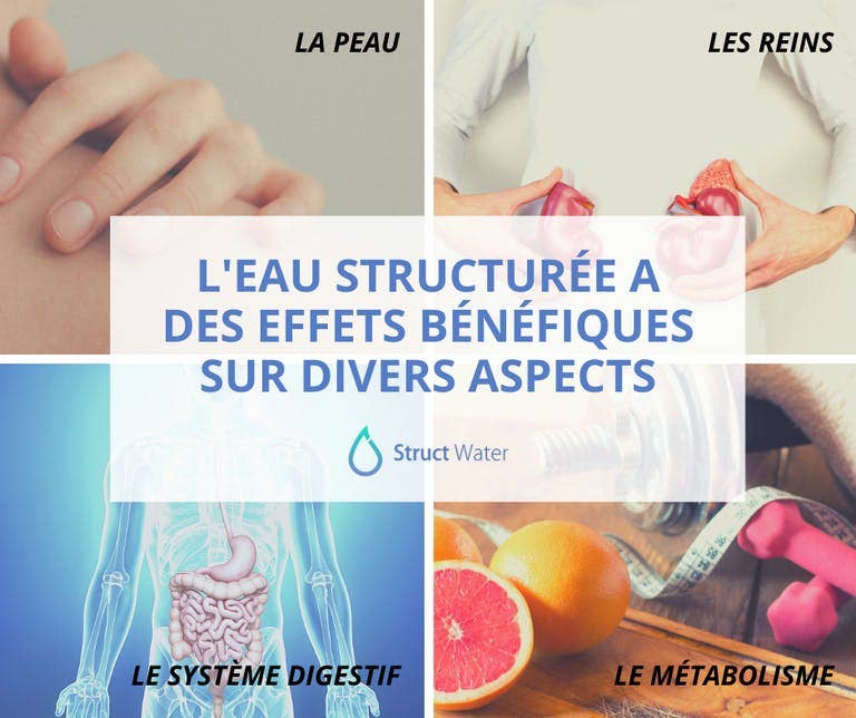 STRUCTWATER FRANCE - Vendita all'ingrosso Filtro per acqua - STRUCTWATER per strutturare, informare, energizzare l'acqua28