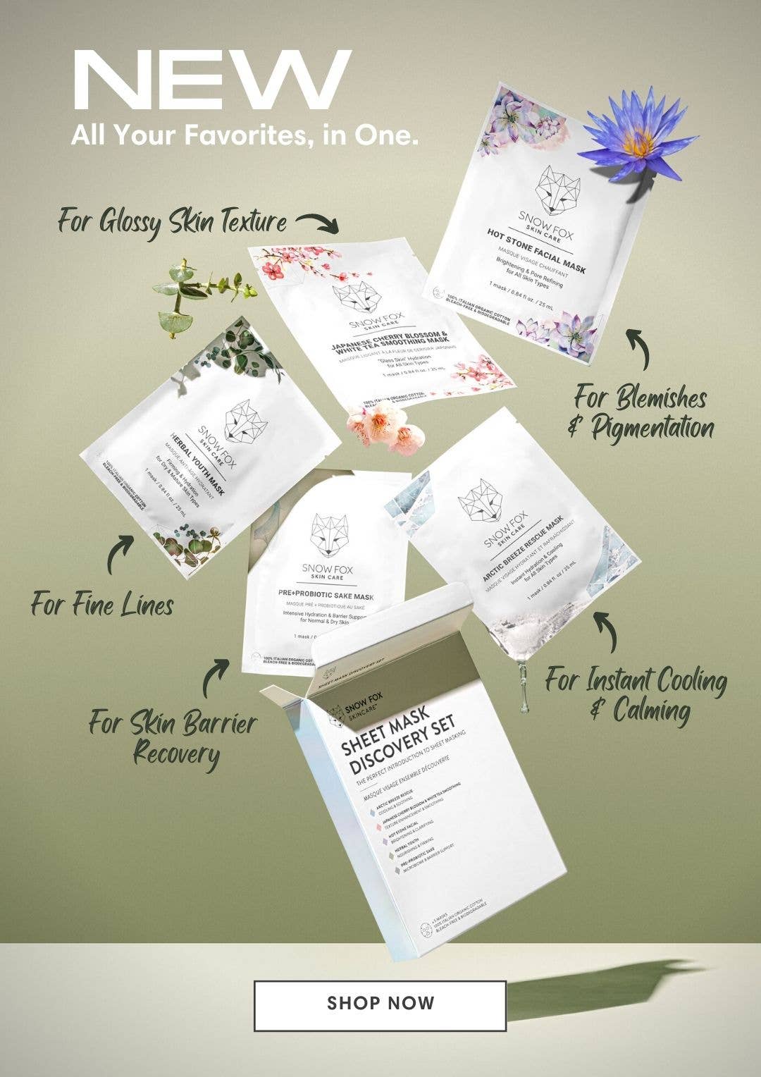 Snow Fox Skincare – wholesale Skincare face mask – Sheet Mask Discovery Set1