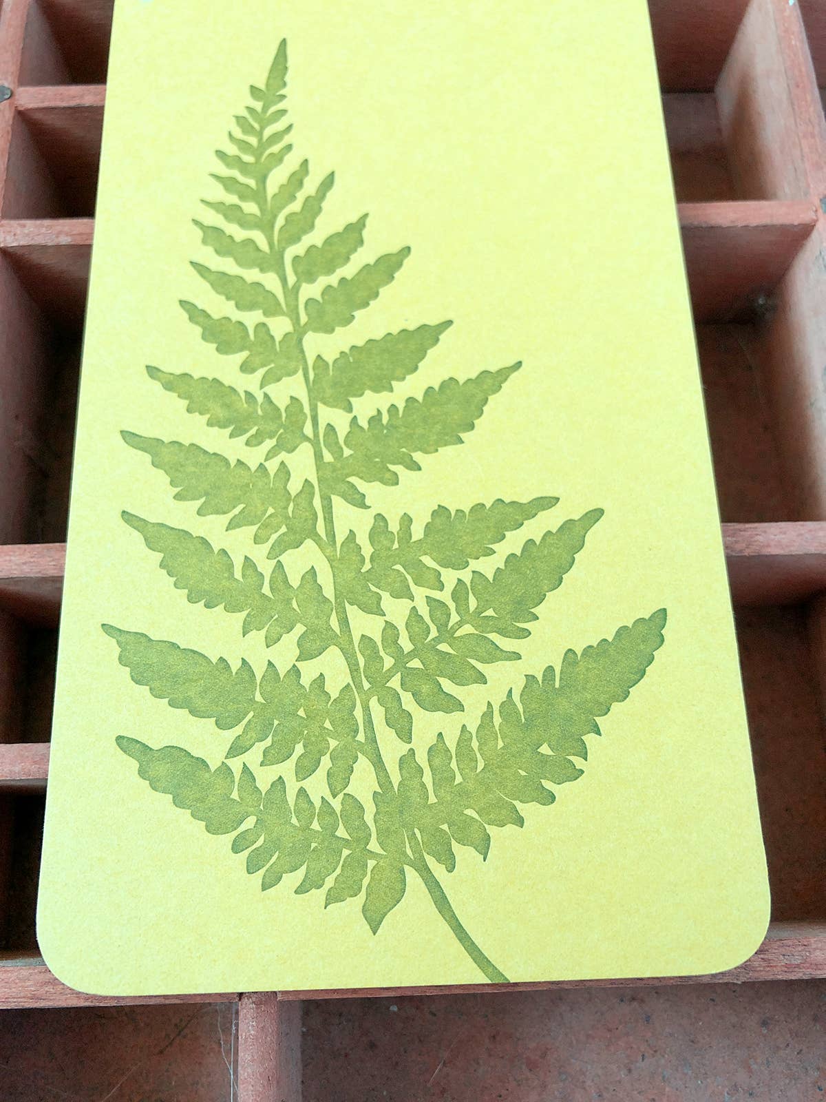 Blackbird Letterpress - Wholesale Notepad - fern jotter notepad3