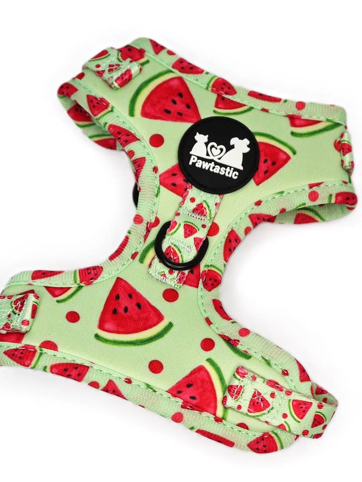 Harnais motif pastèque pour la vente par Pawtastic Bandanas