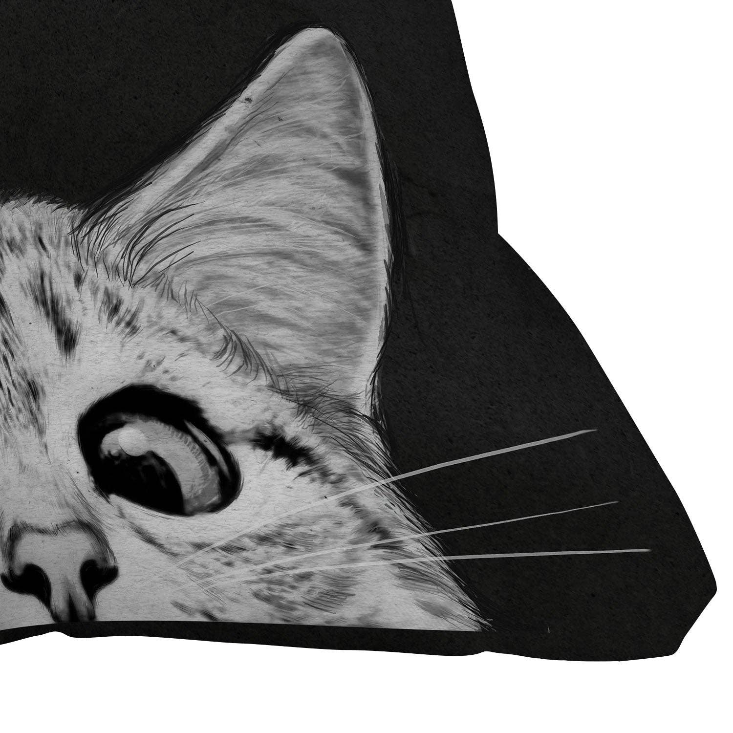 Deny Designs - Wholesale Throw/Decorative Pillow - Laura Graves You Asleep Yet Throw Pillow1