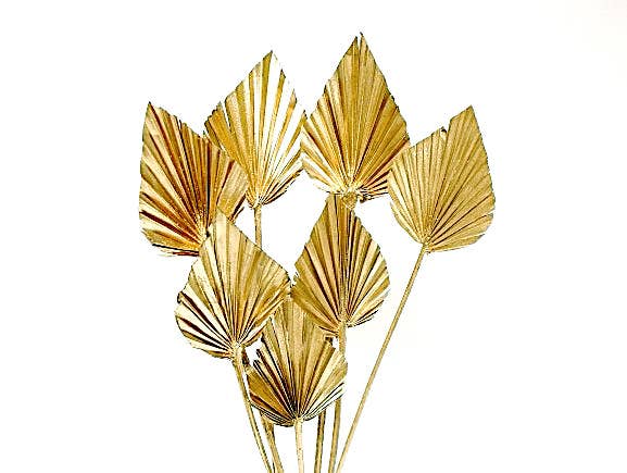 Botanico Ltd. – wholesale Dried/pressed flowers – Palm Spear3