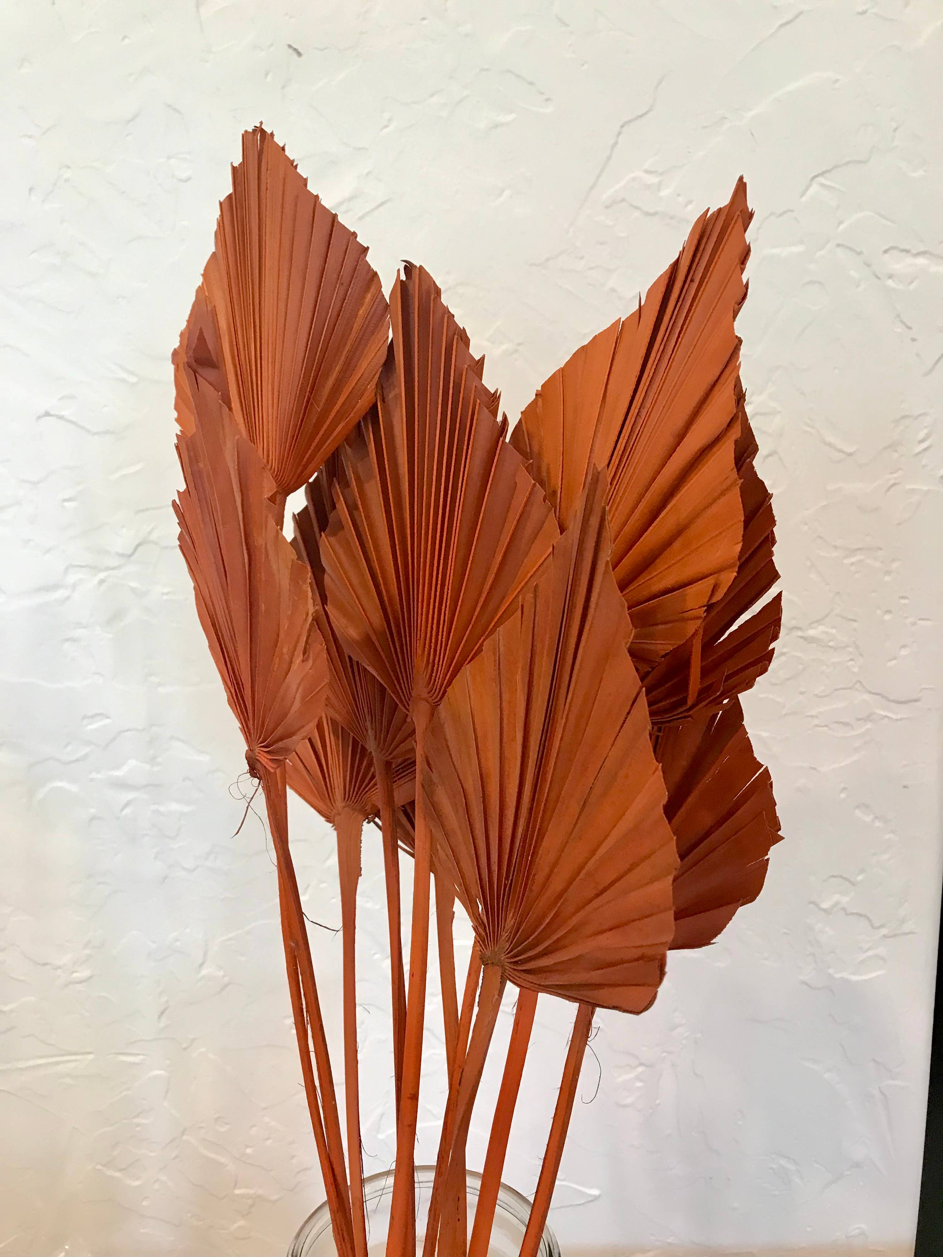 Wilco Home - Wholesale Dried/Pressed Flowers - 10 PC Dried Palm Spear Drop-in Bouquet8