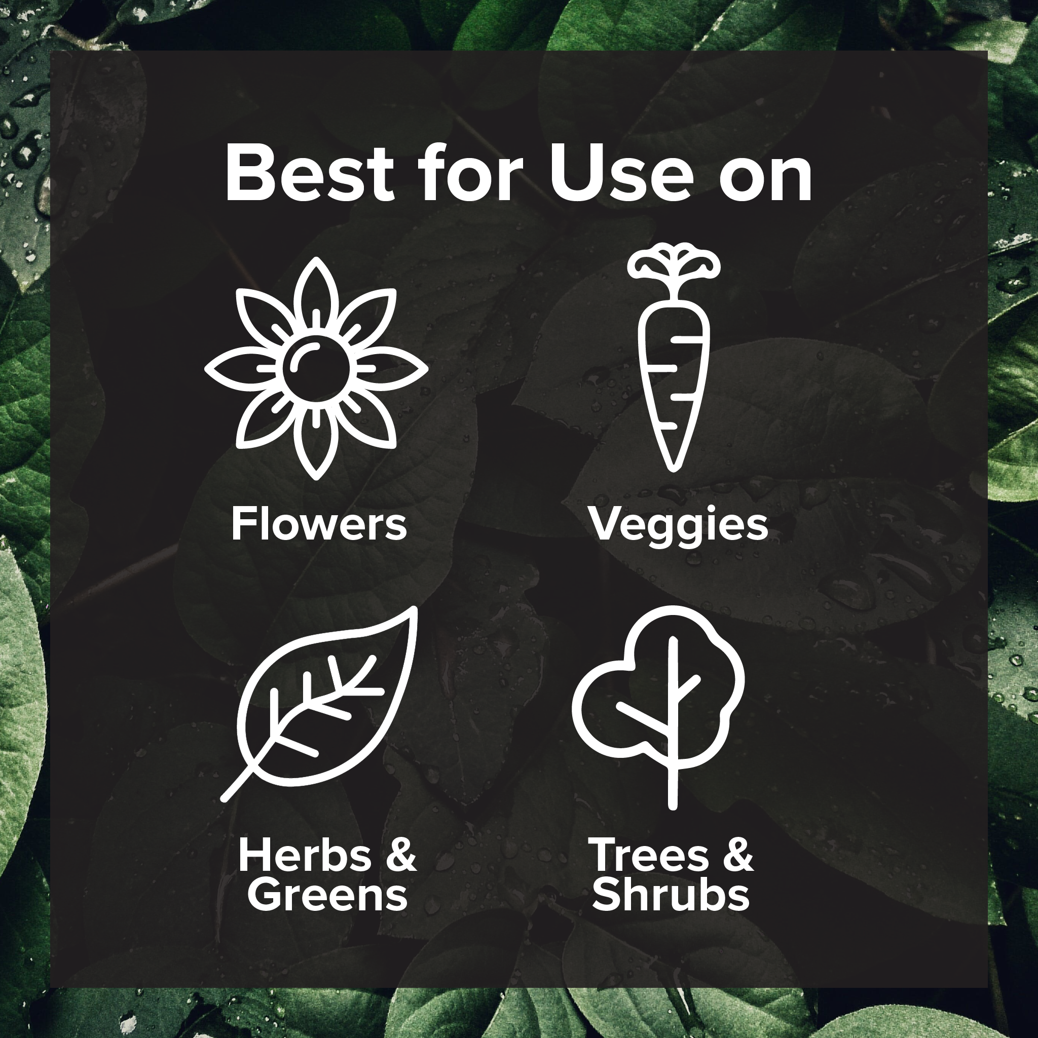 Love, Plants - Wholesale Fertilizer - Magic Mushroom Elixir - Organic Plant Growth Enhancer6