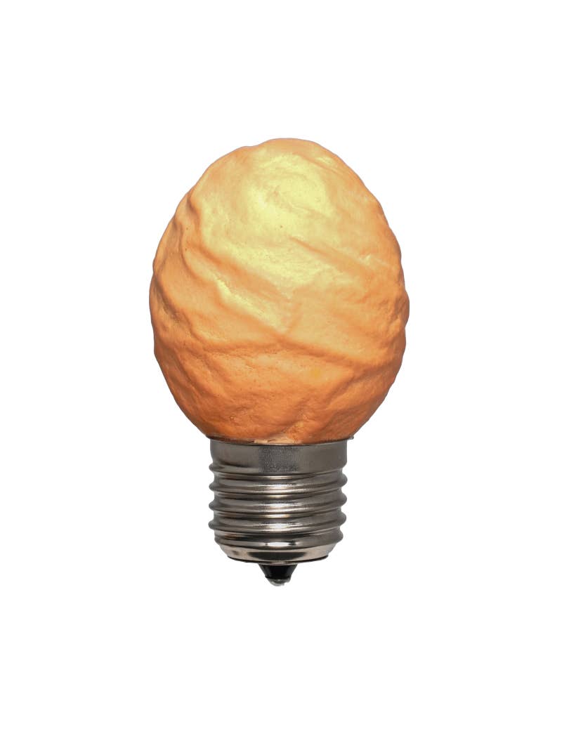 Egglamp - Wholesale Light Bulb/Puck - Egglamp Special | Lightbulb made from B-rated Egg