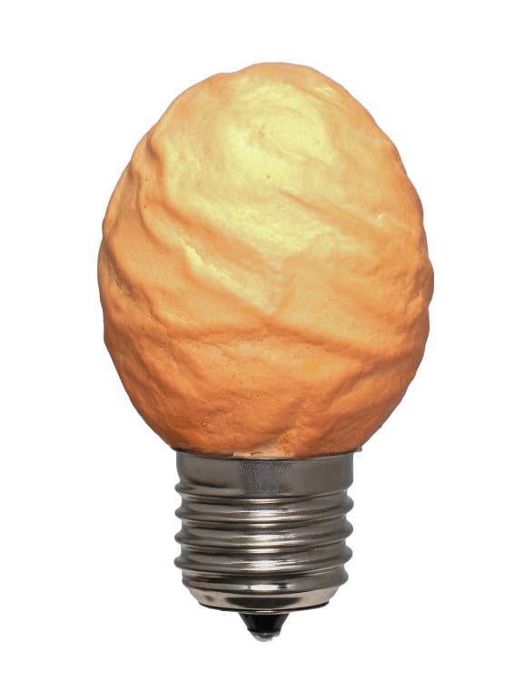 Eilampen-Spezial | Glühbirne aus Eiern der Güteklasse B für den Großhandel von Egglamp