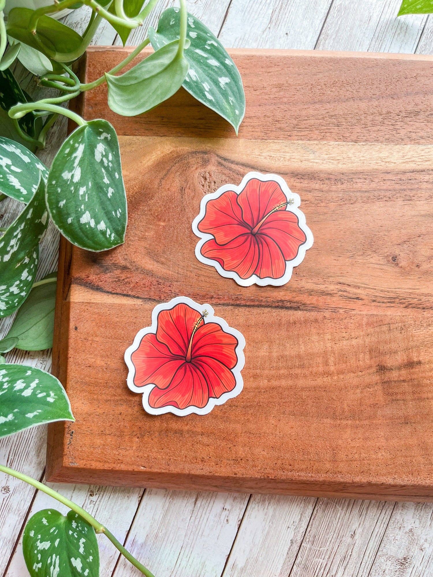 The Nosy Gal - Wholesale Sticker - Flor Cayena Clear Waterproof Sticker3