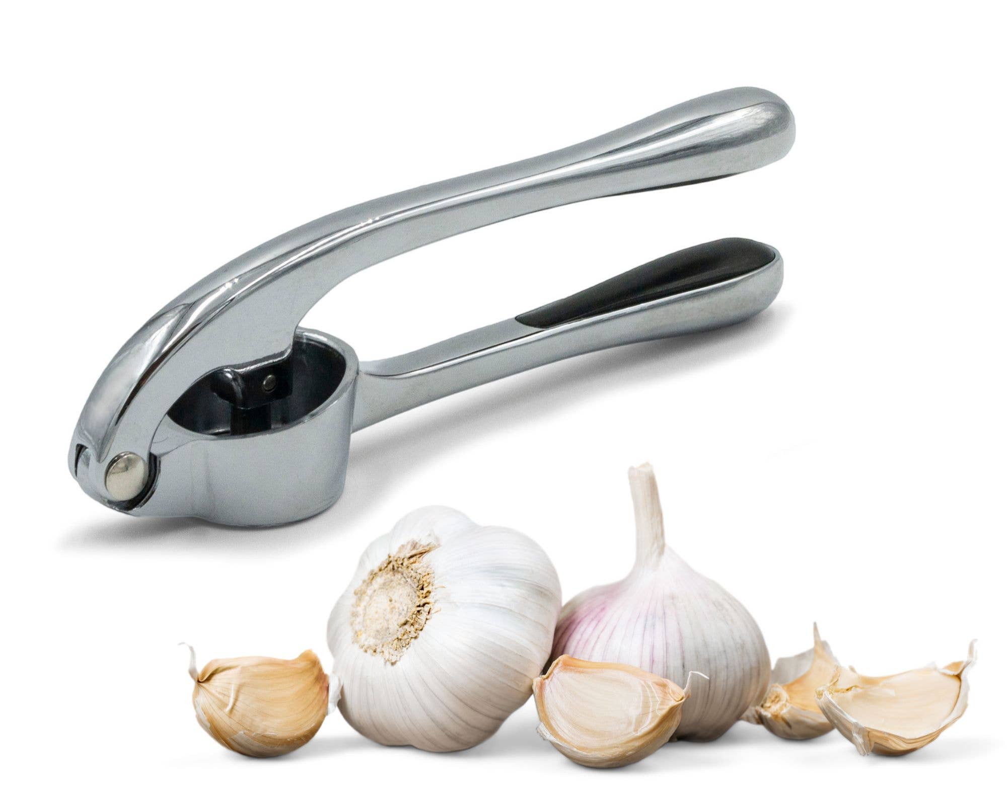 Silver KITCHEN BASICS Garlic Press for wholesale on Faire3