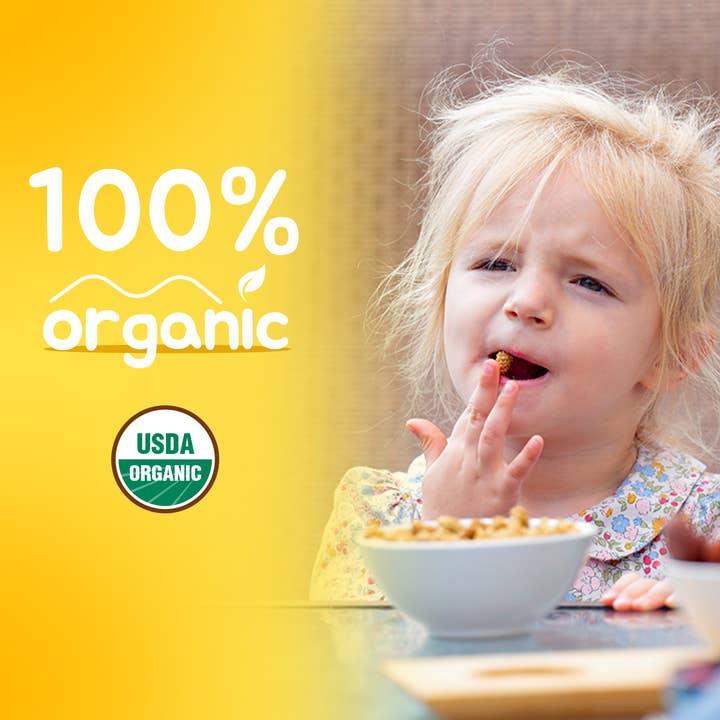 Deliciomo Foods Inc - Wholesale Dried/Dehydrated Fruit - Organic Dried Mulberries, 8.8 oz8