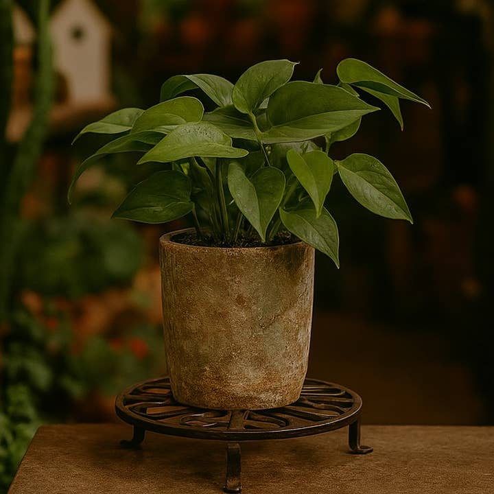 Supporti per piante rotondi in ferro battuto per la vendita all'ingrosso da parte di Asia West