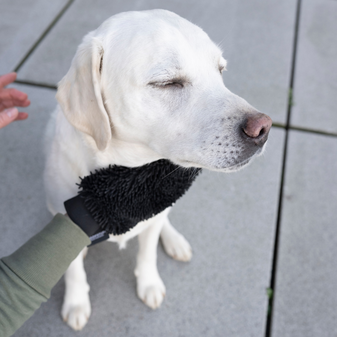 Dog Drying Glove Quick Dry Anthracite for wholesale on Faire1