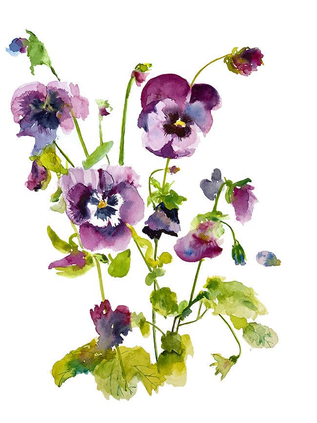 A4-Kunstdruck Pansies für den Großhandel von Ping He Art