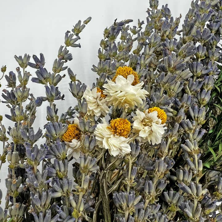 2626 Designs - Venta al por mayor Corona - Corona decorativa de lavanda seca preservada auténtica en color morado5