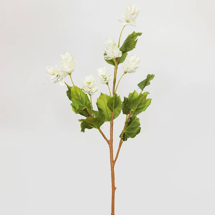 Prestige Botanicals - Vendita all'ingrosso Fiori finti - Luppolo bianco 26,5»