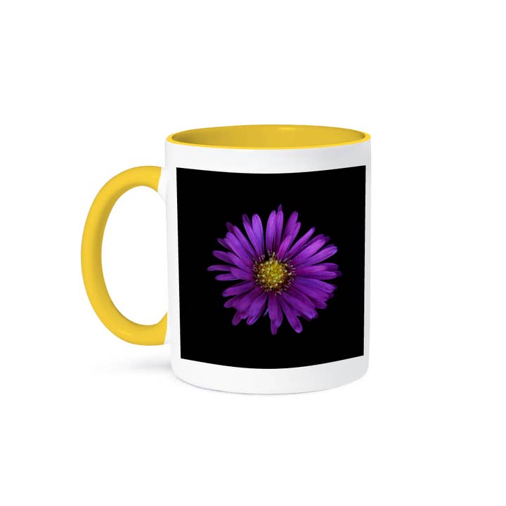 3dRose - Wholesale Coffee Mug - 3dRose, Macro photograph of a purple aster on black background., Mug