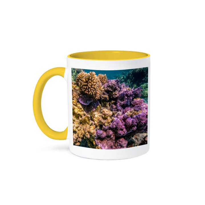 3dRose - Wholesale Coffee Mug - 3dRose, French Polynesia, Bora Bora. Closeup on coral garden., Mug