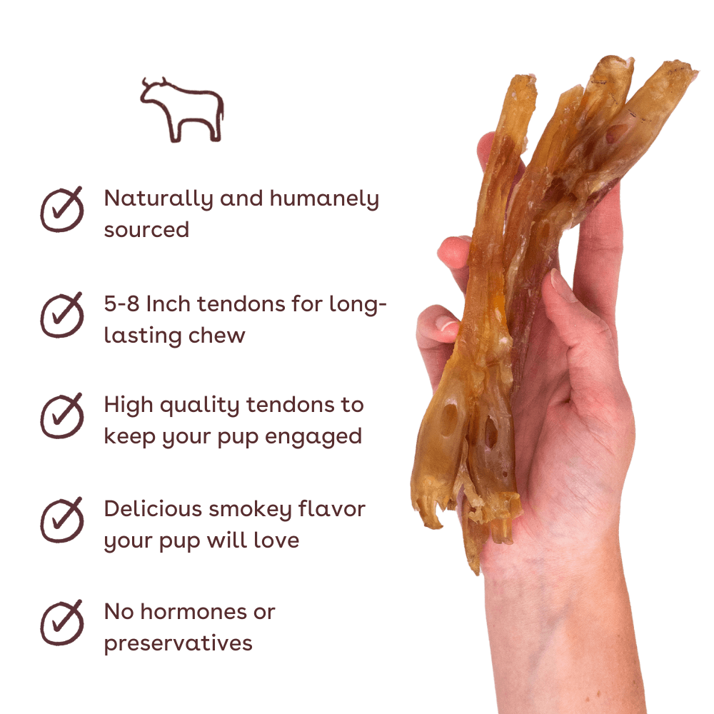 Pupford - Wholesale Pet Treats - Dog - Standard Beef Tendon Dog Chew 10 Pack1