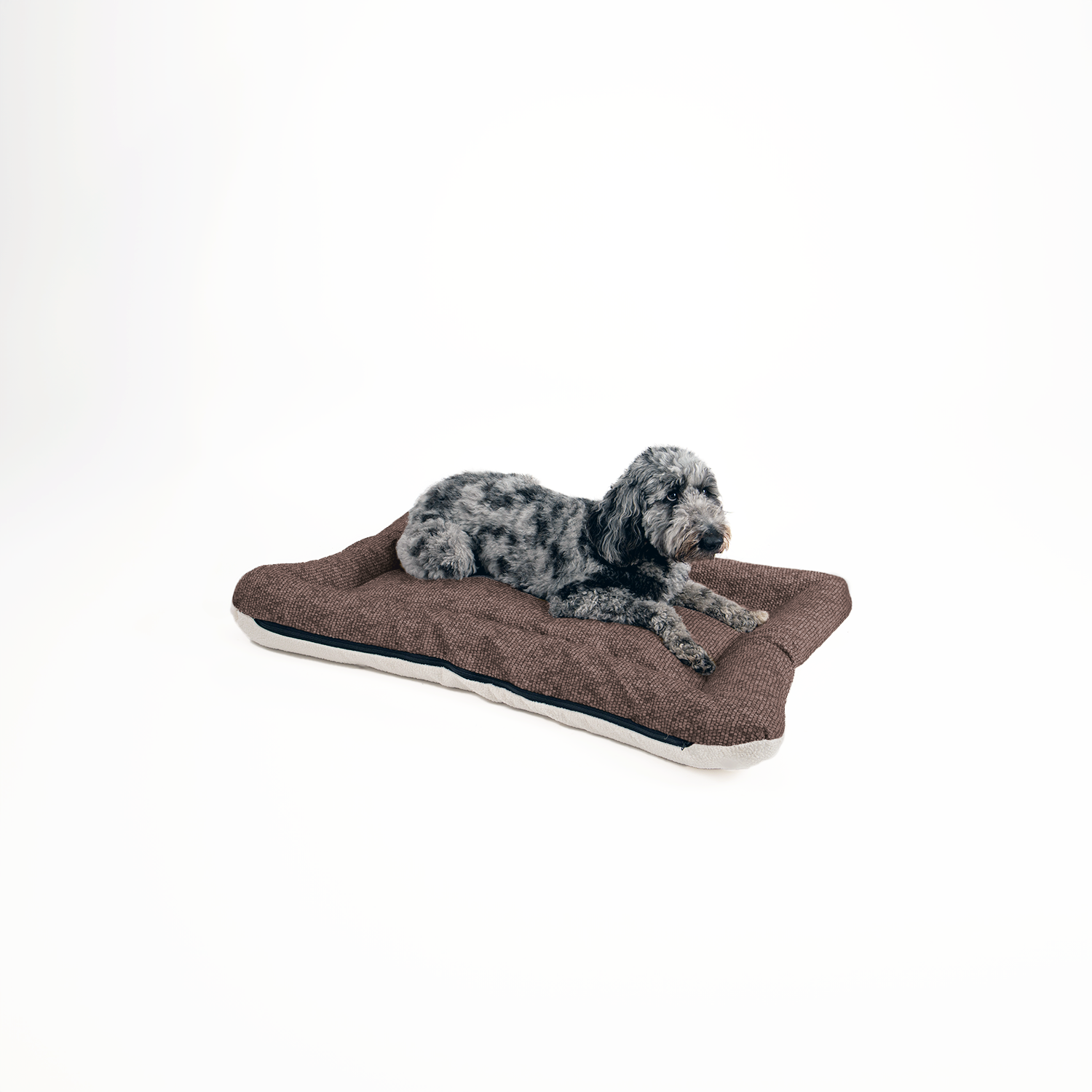 Snoozer Pet Products - Vendita all'ingrosso Letto - Cani - Cuccia per Cani All Day di Snoozer13