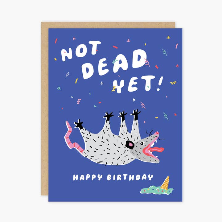 Party of One - Wholesale Birthday Card - Possum Birthday Card