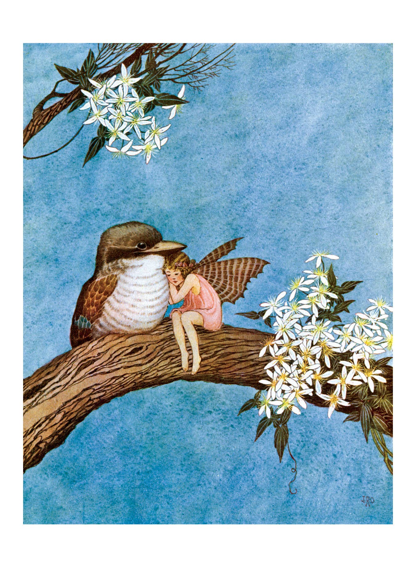 Laughing Elephant - Wholesale Everyday Greeting Card - Enchanting Fairies - Everyday Boxed Cards1