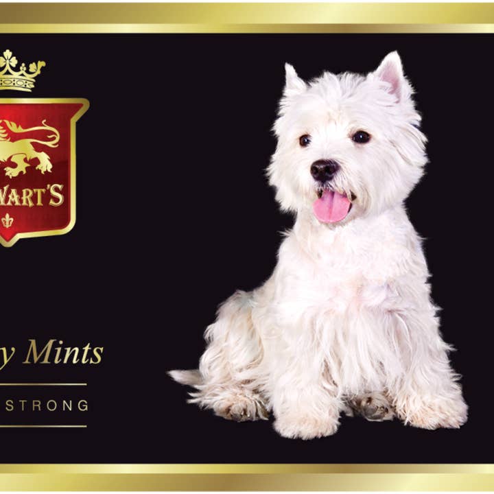 Stewart's Mints Black - Westie - 40g for wholesale by MANAV