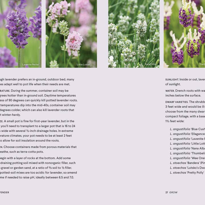 Blue Star Press - Wholesale Body, Mind & Spirit - Lavender: 50 Self-Care Recipes and Projects for Wellness3