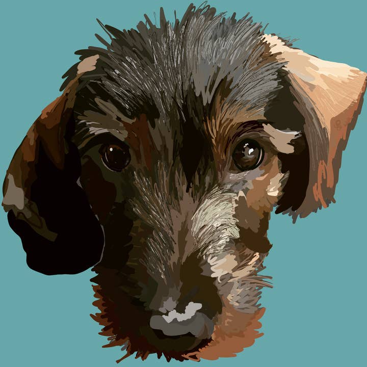 Freddie le Doxie pour la vente par Dogs And Designs