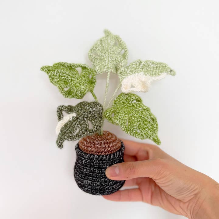 Plante Monstera au Crochet Fait Main | Amigurumi en Laine, Pot Noir pour la vente par PinkLadyWorkshop