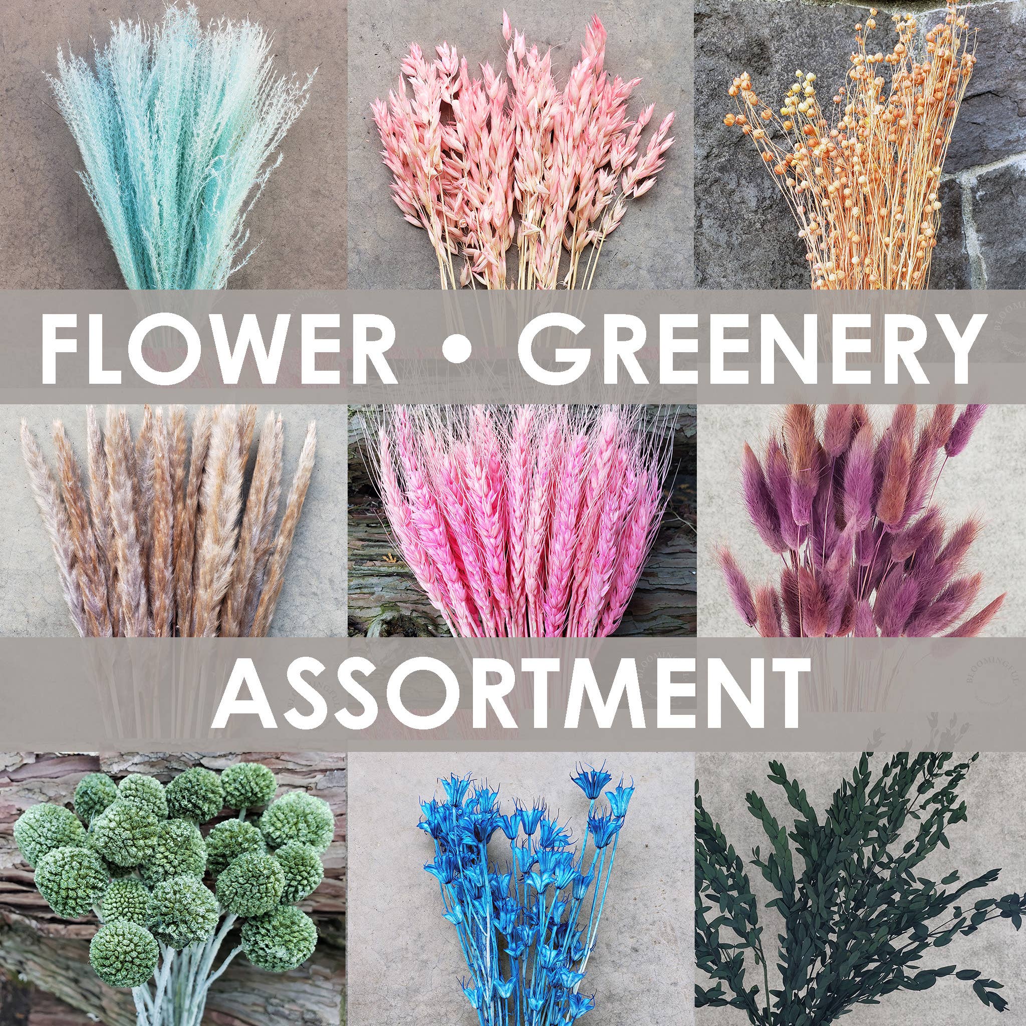 BLOOMINGFUL.COM - Wholesale Dried/Pressed Flowers - Floral + Greenery Assortment - Assorted Colors/Varieties0