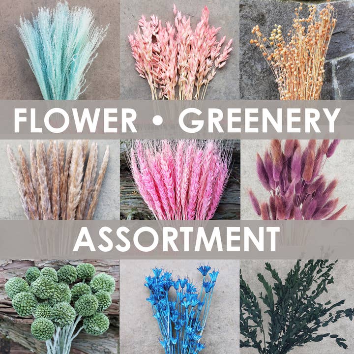 BLOOMINGFUL.COM - Wholesale Dried/Pressed Flowers - Floral + Greenery Assortment - Assorted Colors/Varieties