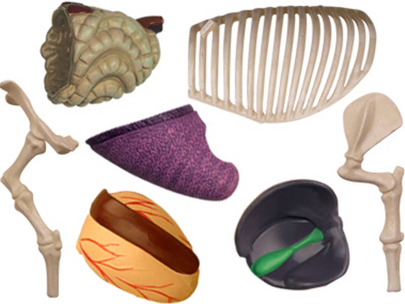 TEDCO Toys - Vente Jouet classique – enfant - Cochon 4D Vision5