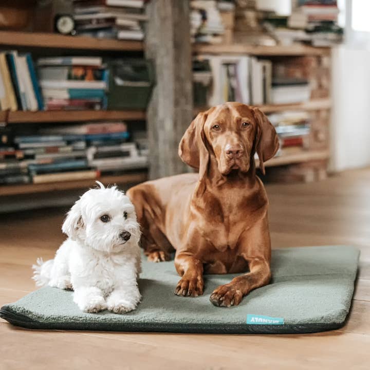 Manuly Hundematte Set (Isomatte & Bezug) + Manuly BAG für den Großhandel von Manuly