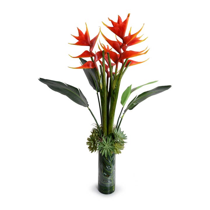 Heliconia "Lobster Claw" & Succulent Tropical Arrangement 56"H for wholesale by New Growth Designs
