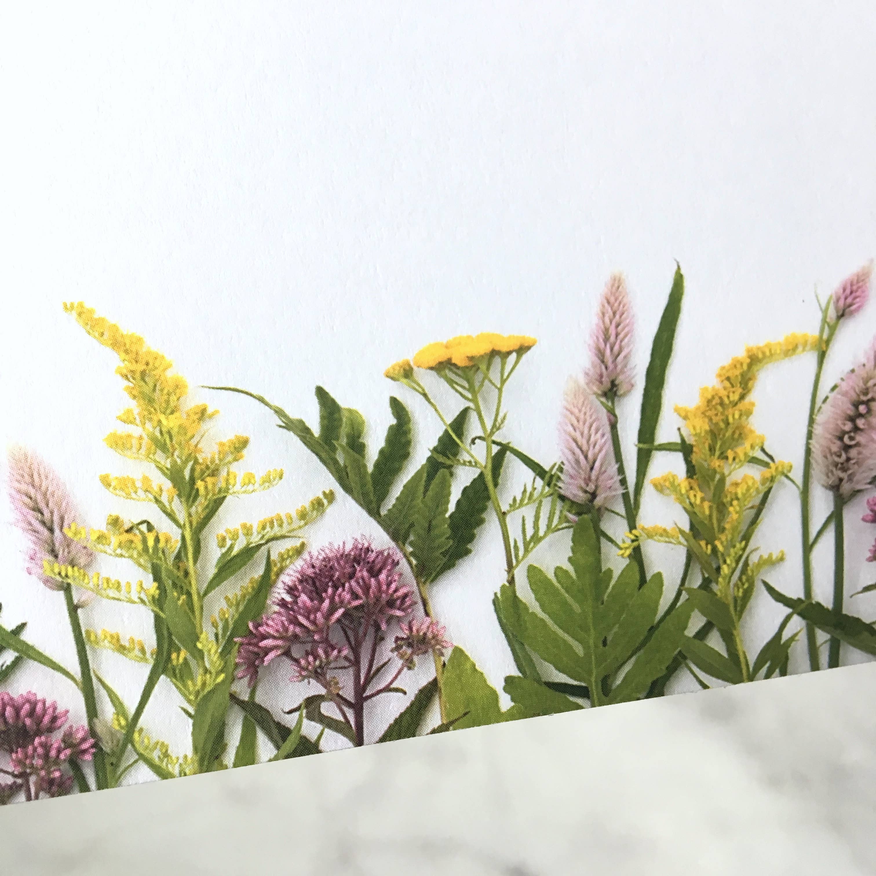 Bottle Branch - Wholesale Briefpapier/indexkaartenset - Platte kaartenset - Wildflowers Of Summer1