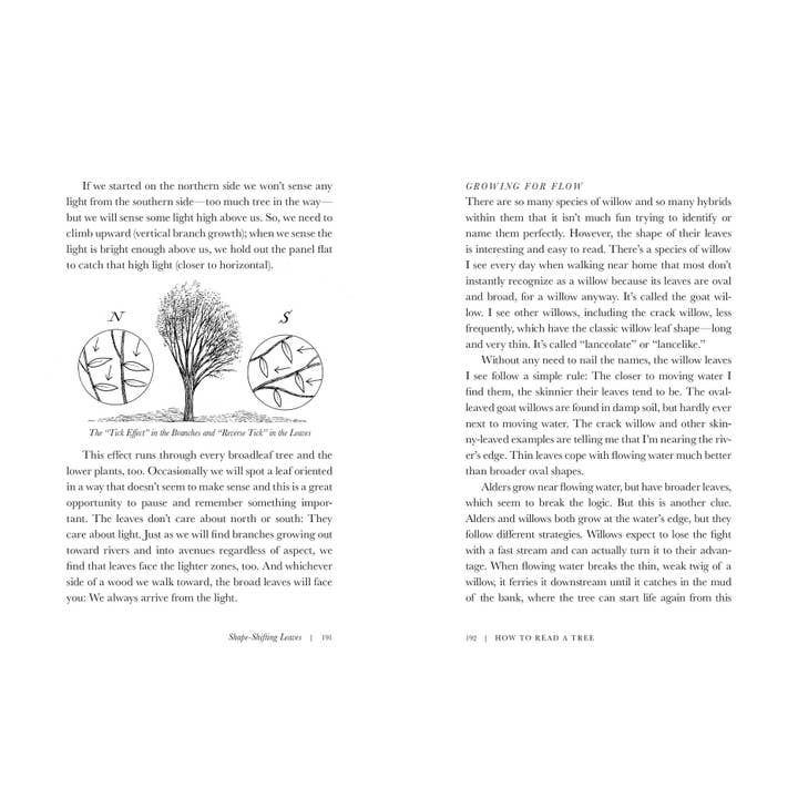 W. W. Norton - Wholesale Nature & Outdoors - How to Read a Tree: Clues and Patterns from Bark to Leaves1