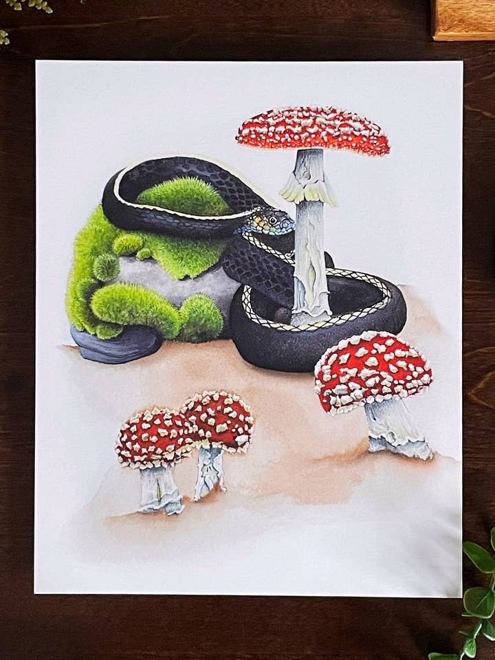 Strumpeband Snake & Toadstool Print, Mushroom Art för wholesale av Sword Fern Studios