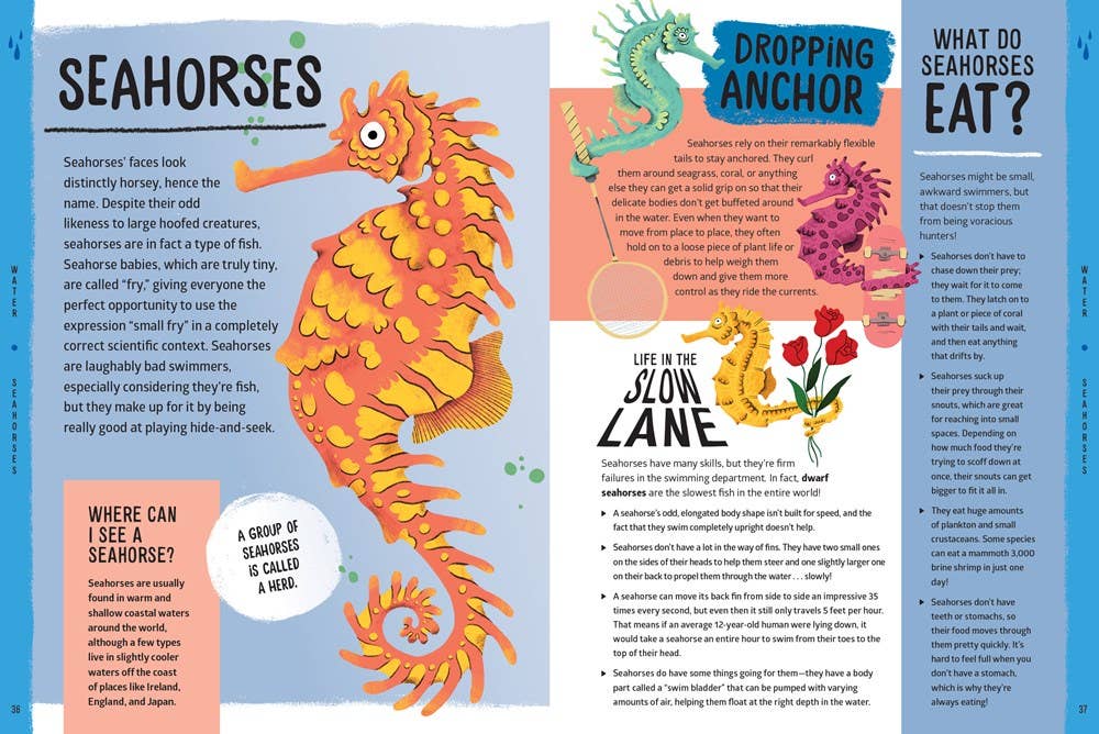 W. W. Norton - Wholesale Nature & Outdoors - Weird, Wild, Amazing! Water7