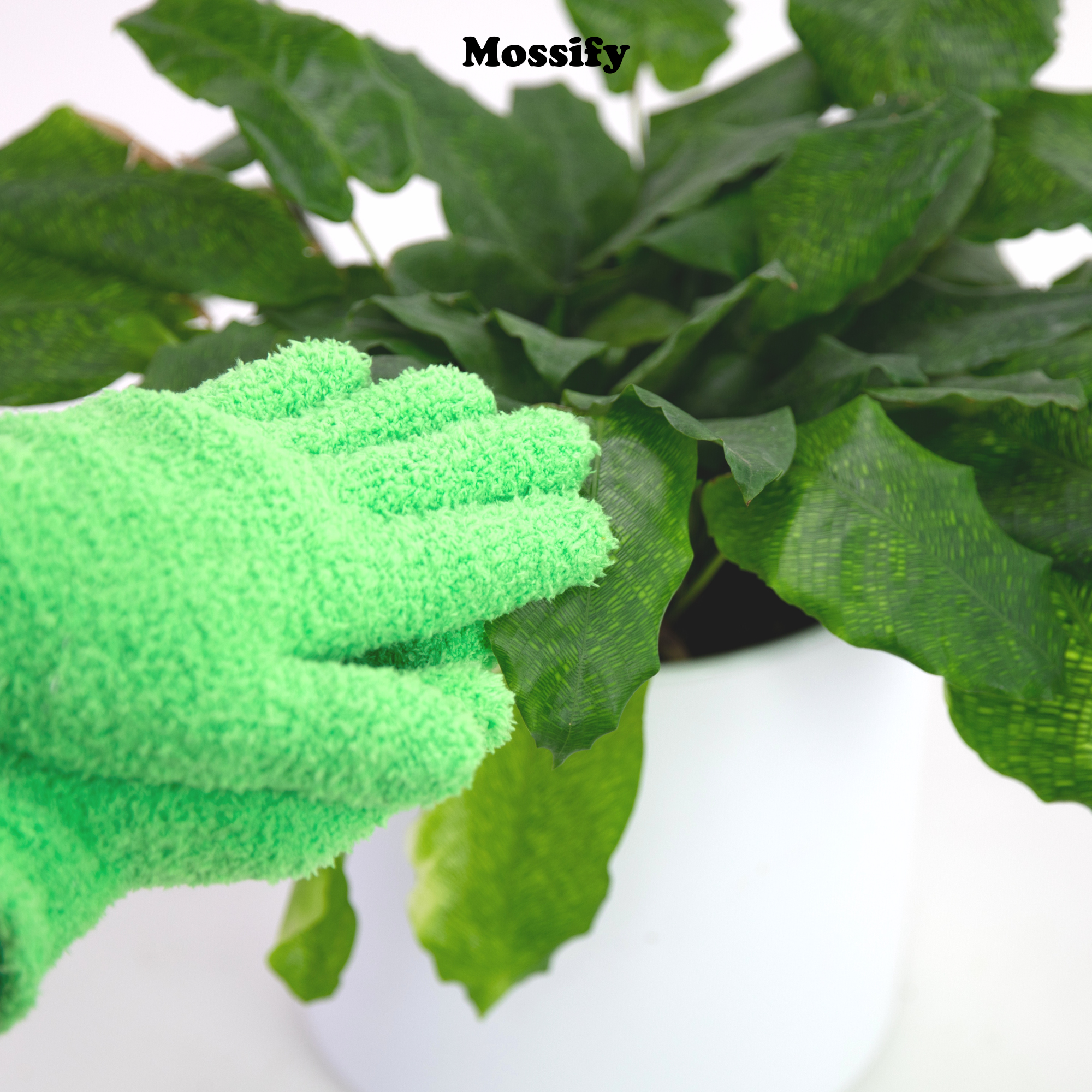 Mossify - Wholesale Garden Gloves - 2 Microfiber Gloves – Reusable Leaf-Shining Gloves for Plant6