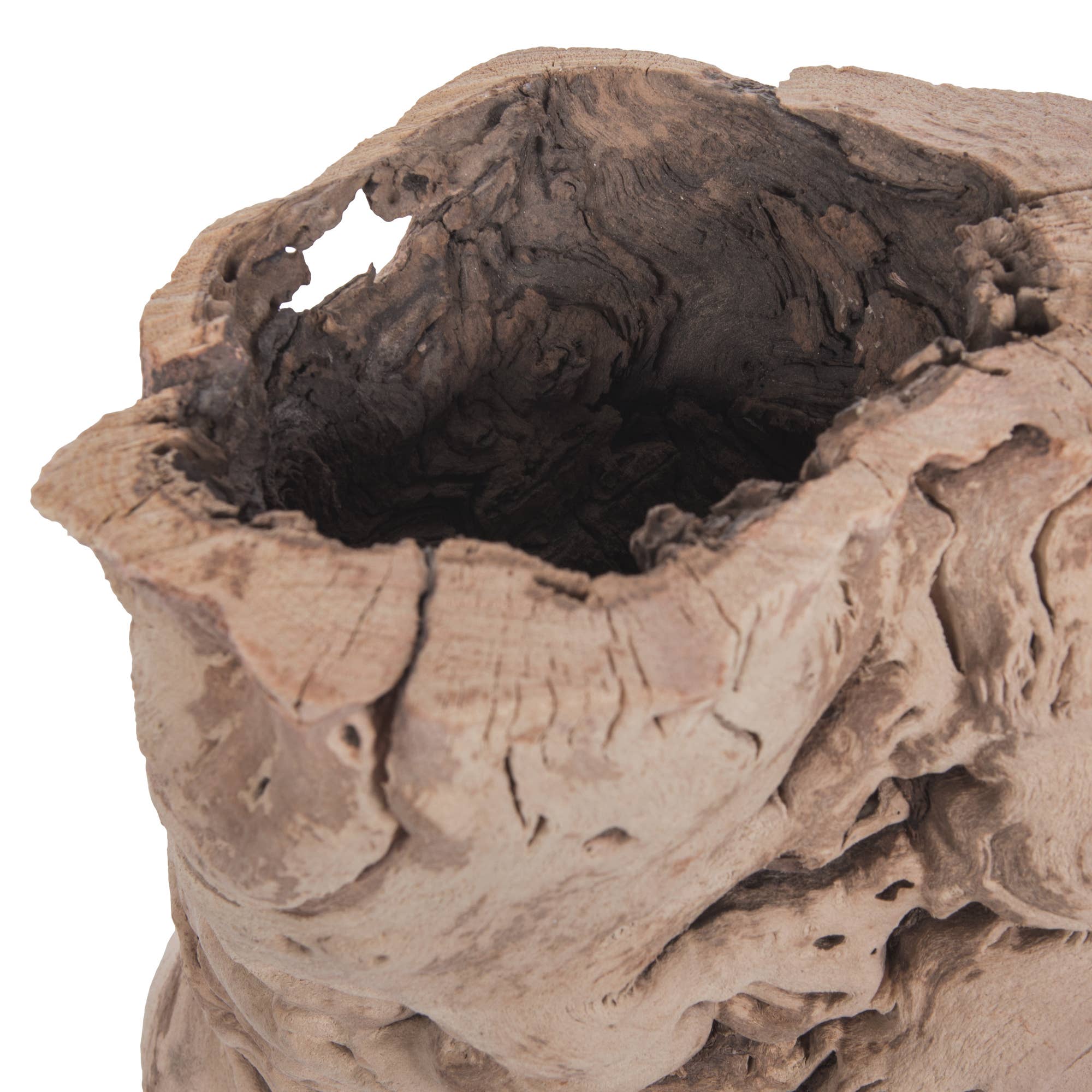 Tan Vickerman 12-14" Grapewood Urns Sand Blasted, Dried for wholesale on Faire2